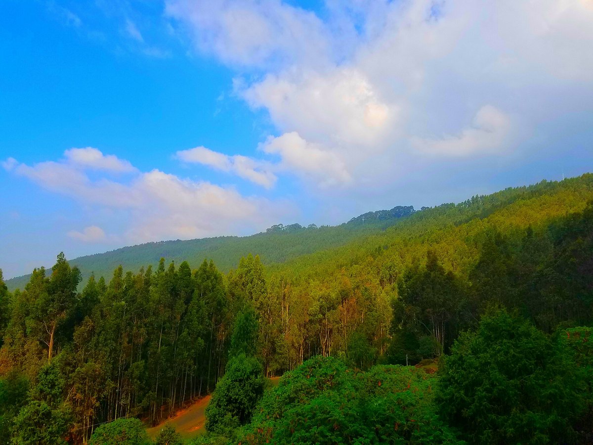 Addis Ababa, Central Ethiopia, City tours & coffee